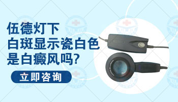 伍德氏检查灯的功能与应用解析